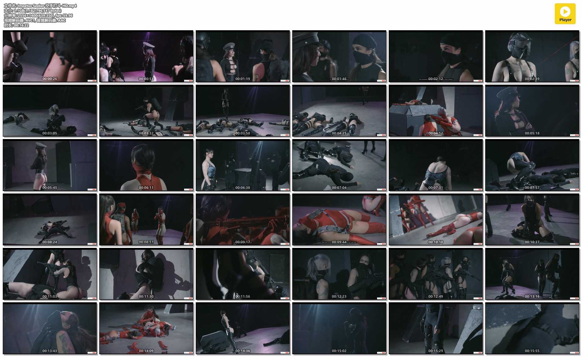 Impetus Seeker 空手打斗-HD.jpg