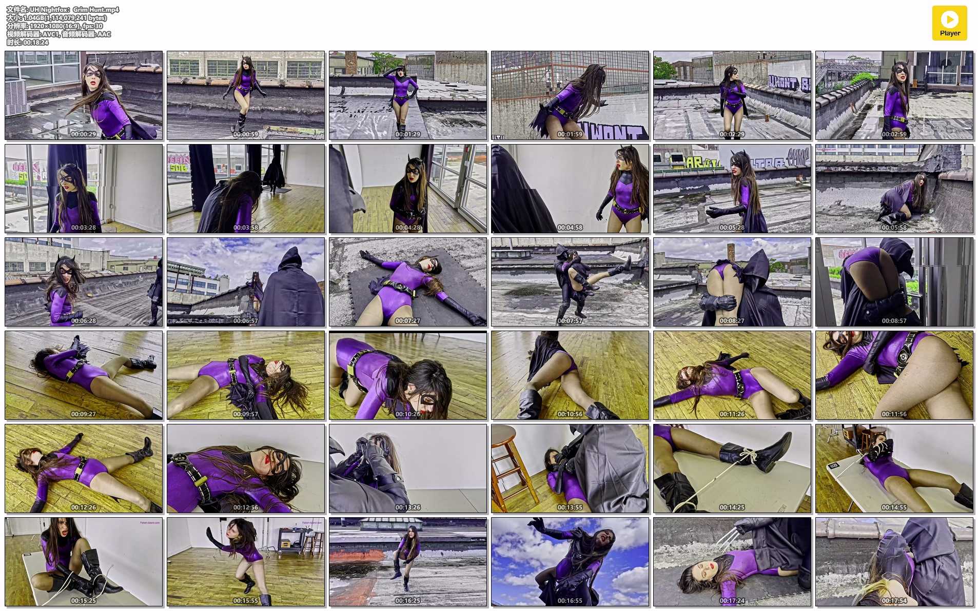 UH Nightfox：Grim Hunt.jpg